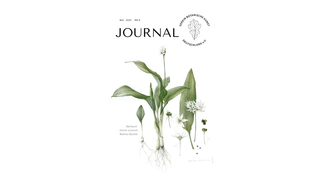 Journal (Newsletter) Nr 8 / 2025