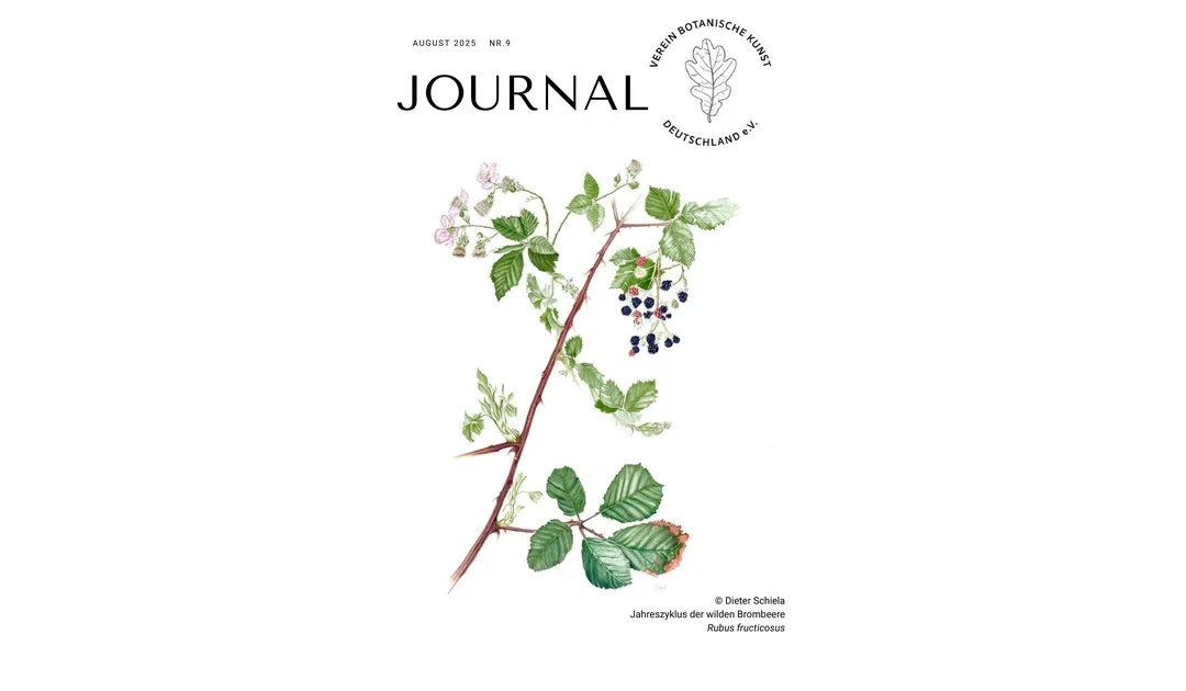 Journal (Newsletter) Nr 9 / 2025