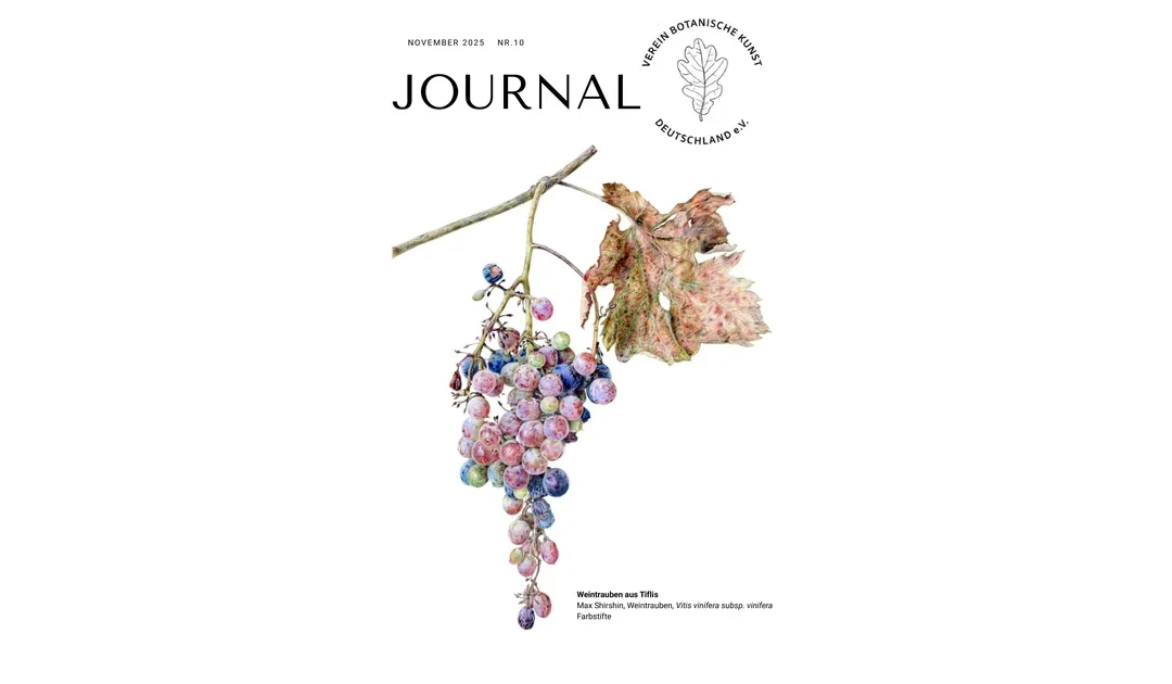 Journal (Newsletter) Nr 10 / 2025