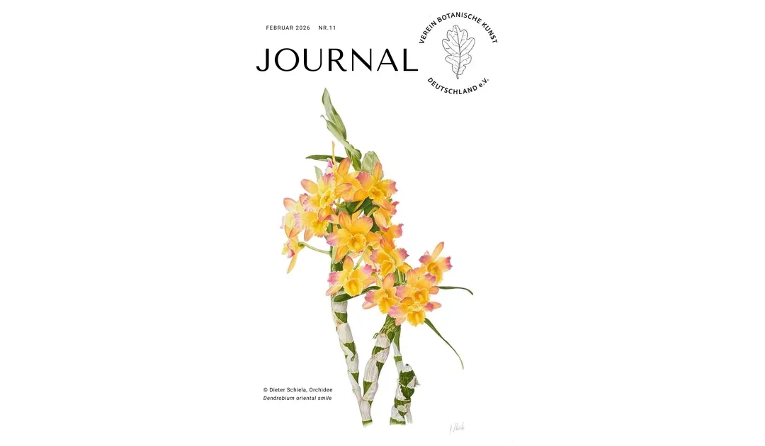 Journal (Newsletter) Nr 11 / 2026