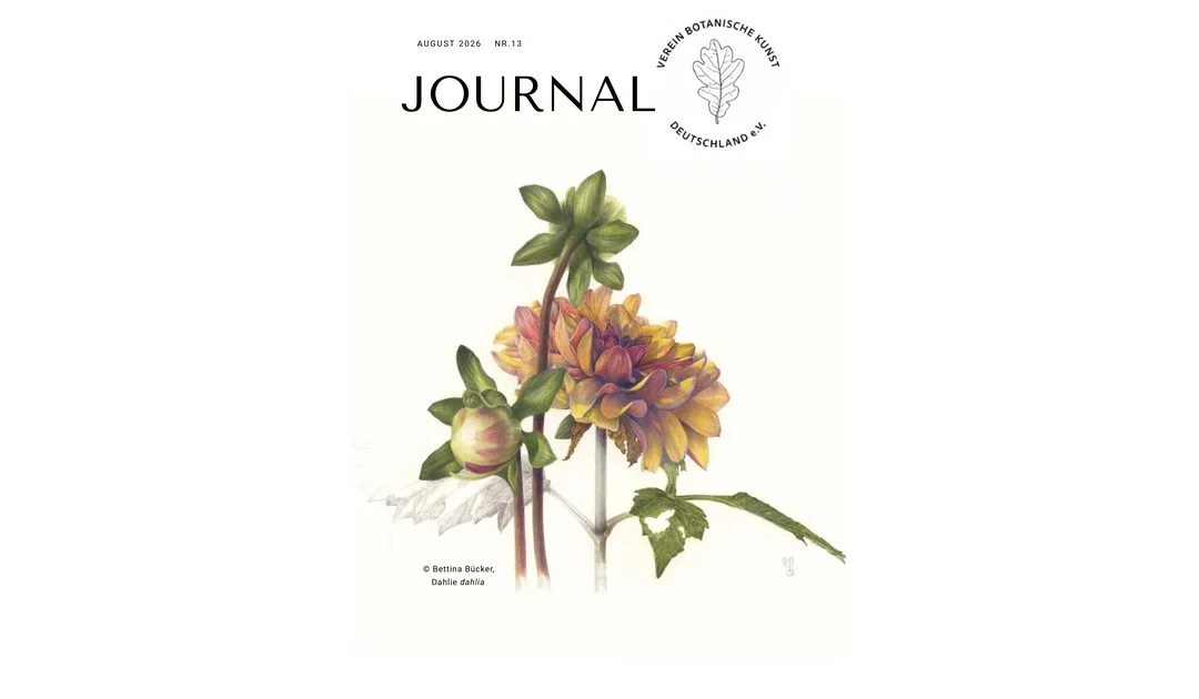 Journal (Newsletter) Nr 13 / 2026